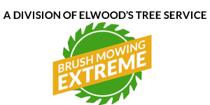 Field Clearing & Brush Removal in Salem Oregon